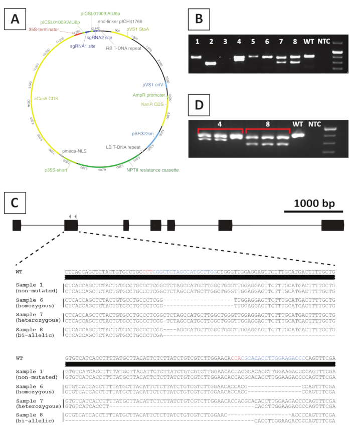 Figure 4