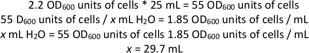 Equation 2