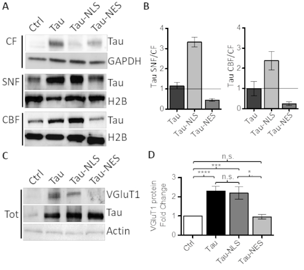 Figure 5