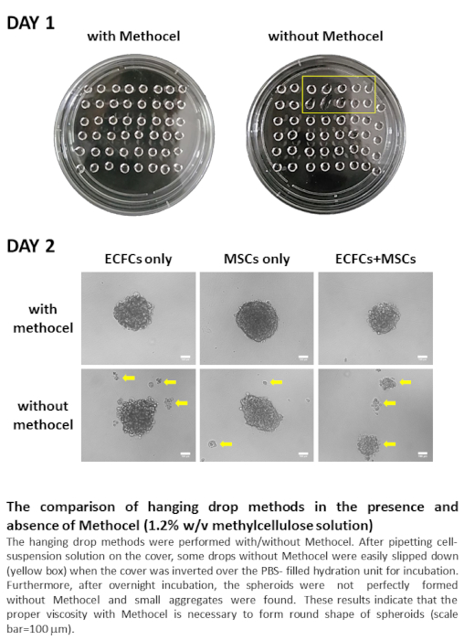 Supplemental Figure 1