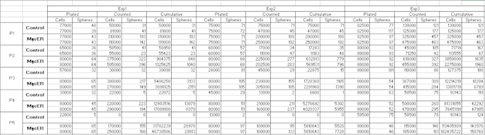 Table 2