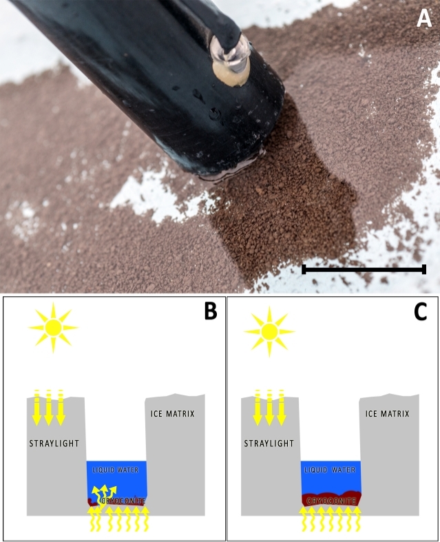 Figure 14