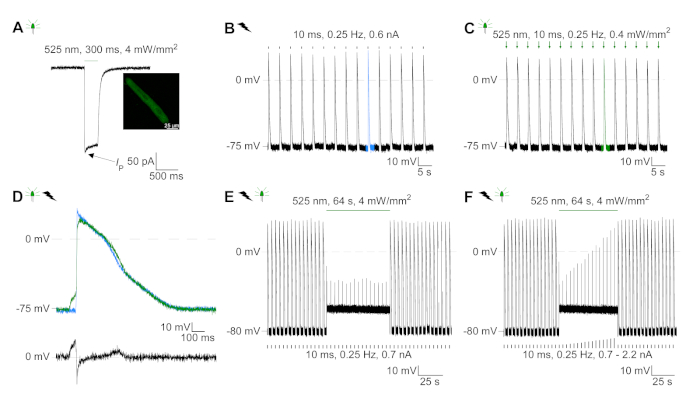 Figure 6