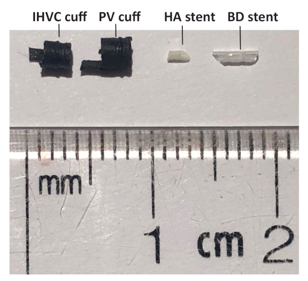 Supplementary Figure 1