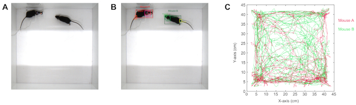 Figure 2