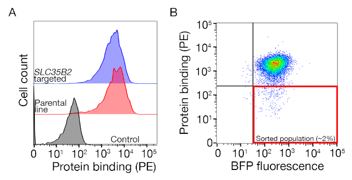 Supplementary Figure 1