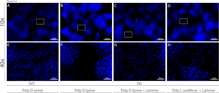 Supplementary Figure 1