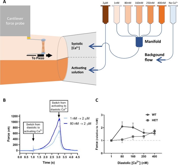 Figure 11