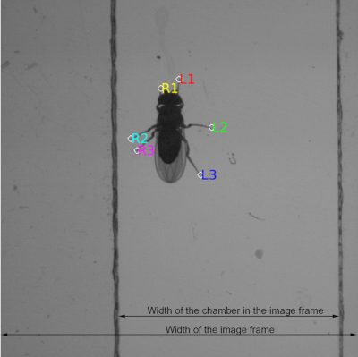 Supplemental Figure 3