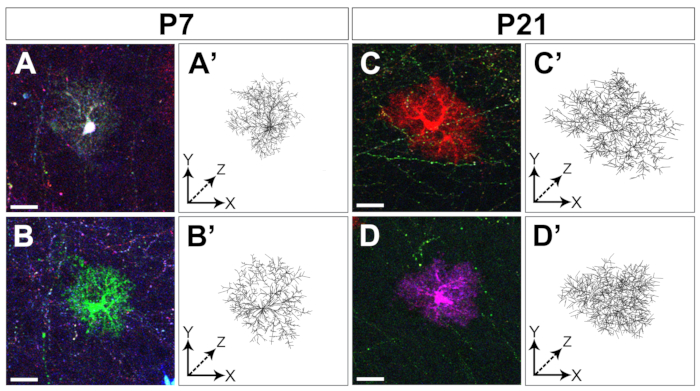 Figure 4