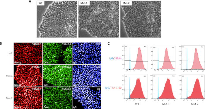 Figure 4