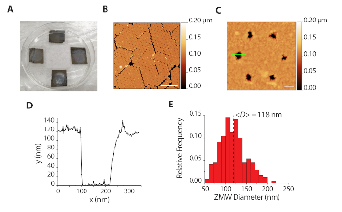 Figure 5