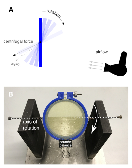 Figure 5