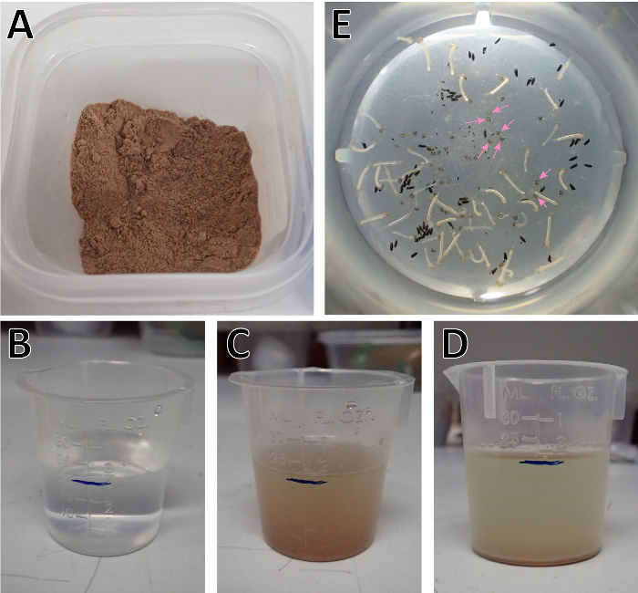 Figure 10