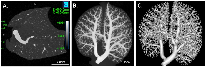 Figure 7