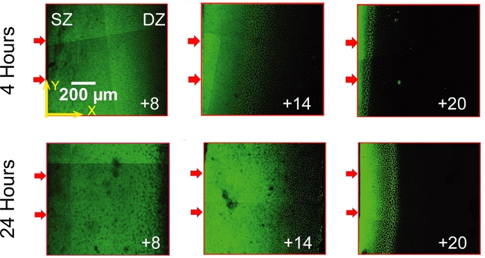 Figure 10