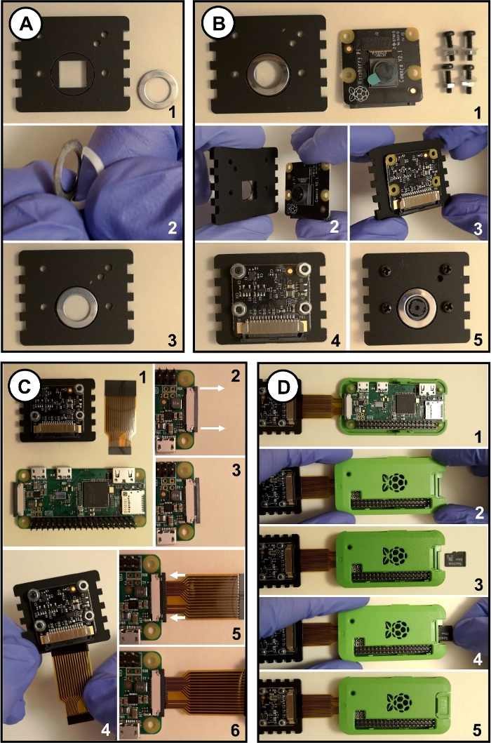 Figure 2