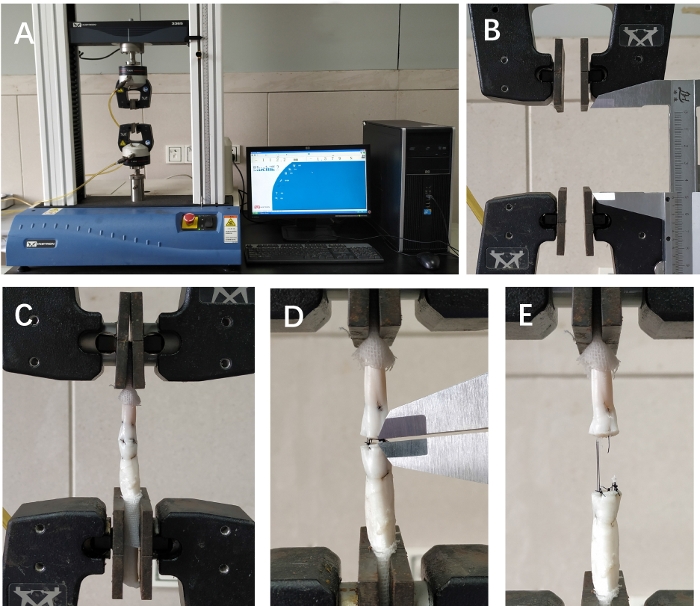 Figure 4