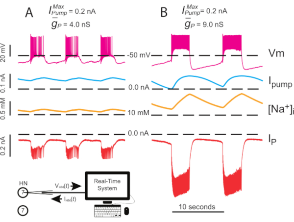 Figure 4