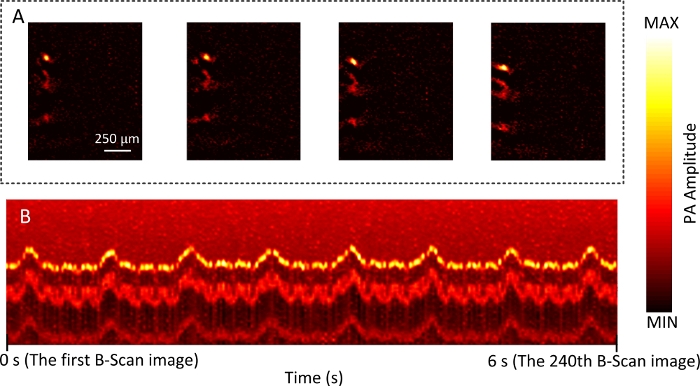 Figure 6