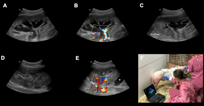 Figure 6