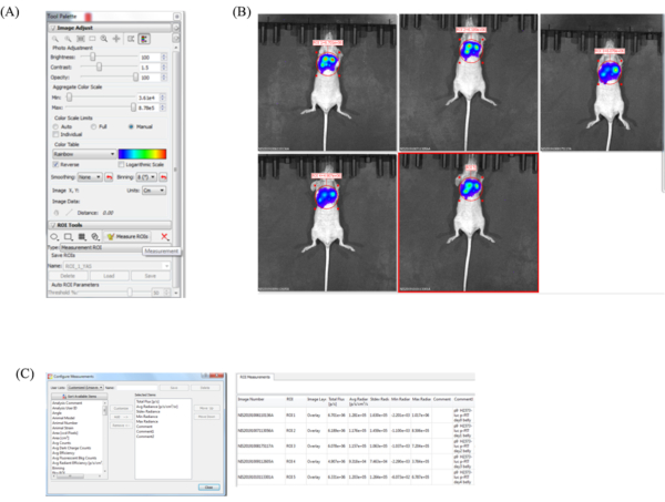 Figure 4