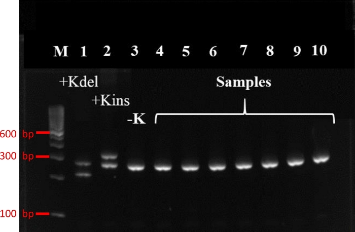 Figure 7