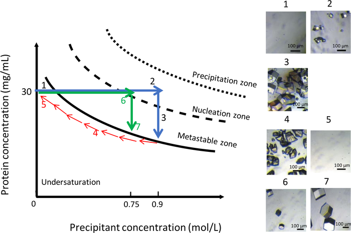 Figure 11