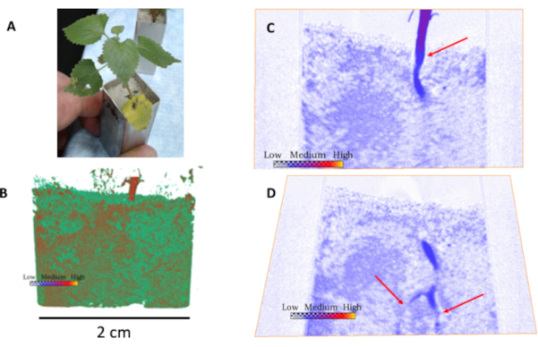 Figure 7