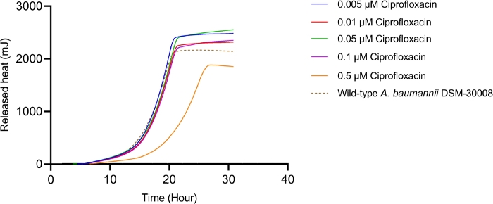 Figure 1B