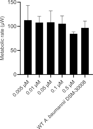 Figure 1D