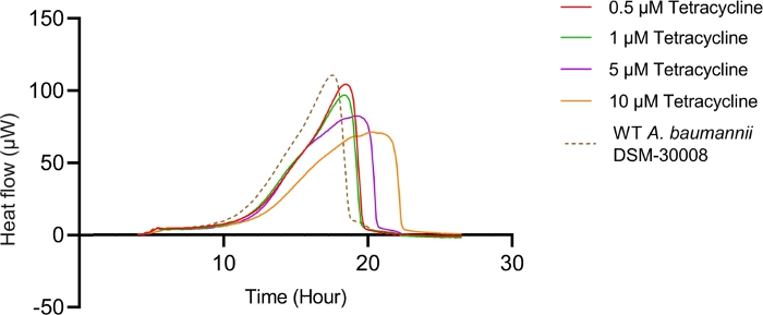 Figure 2A