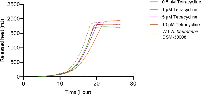 Figure 2B