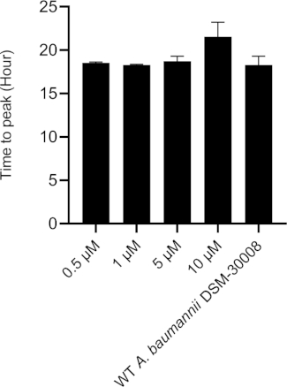 Figure 2C