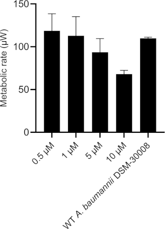 Figure 2D