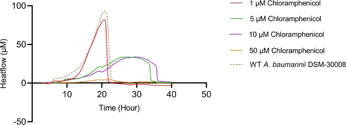 Figure 3A