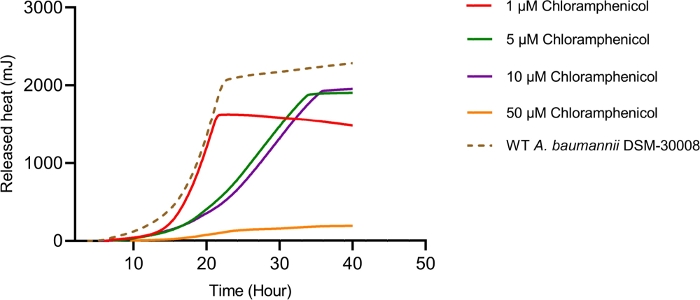 Figure 3B