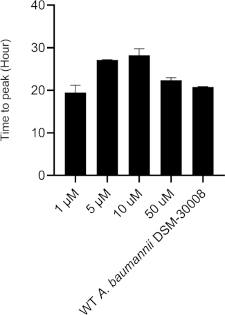 Figure 3C