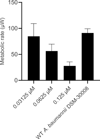 Figure 4D