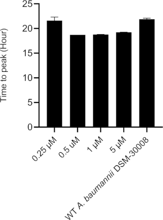 Figure 5C