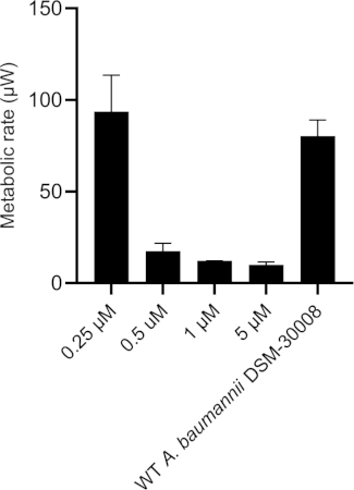 Figure 5D