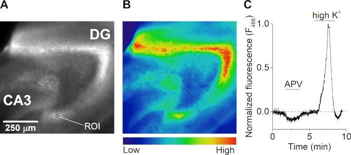 Figure 4