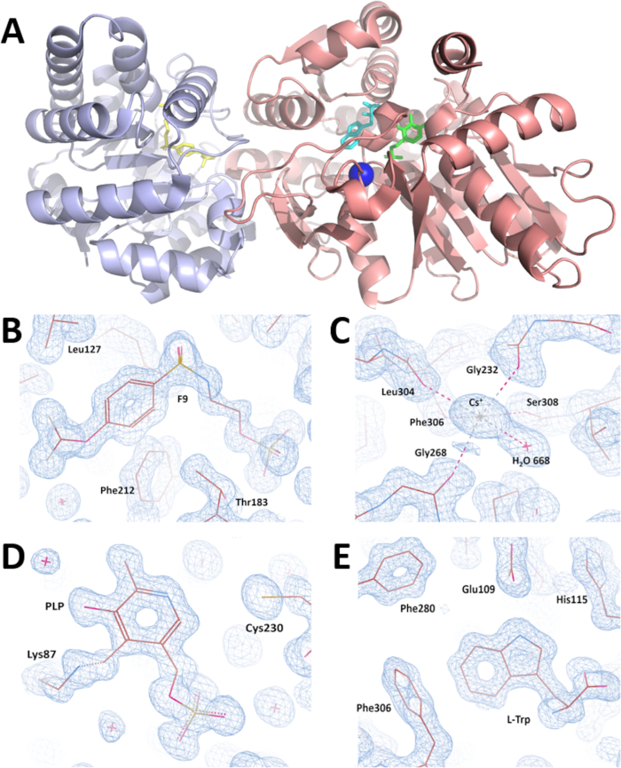 Figure 7