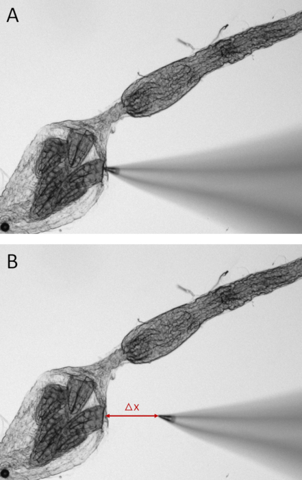 Figure 7