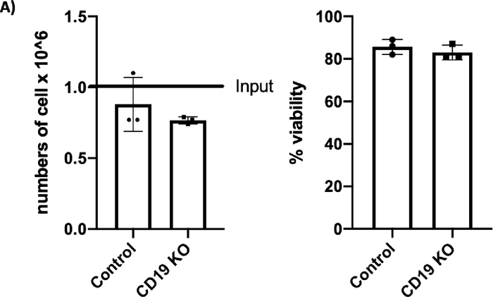 Figure 2A