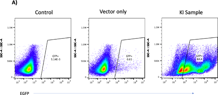 Figure 5A