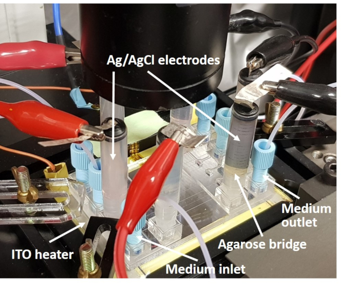 Figure 5