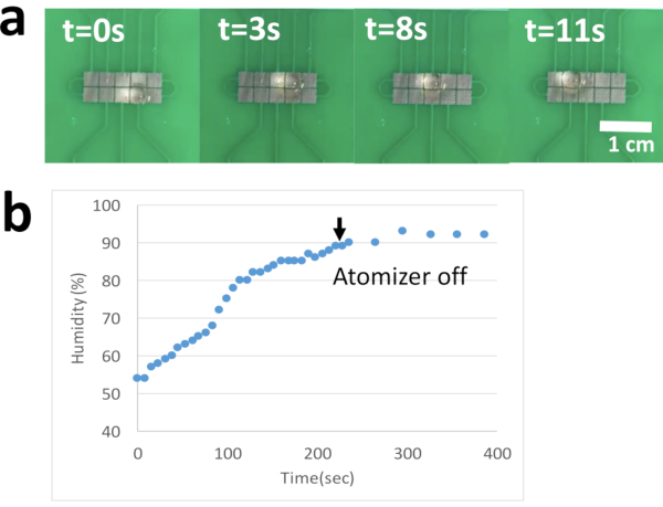 Figure 5