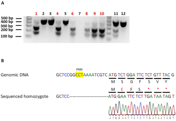 Figure 4