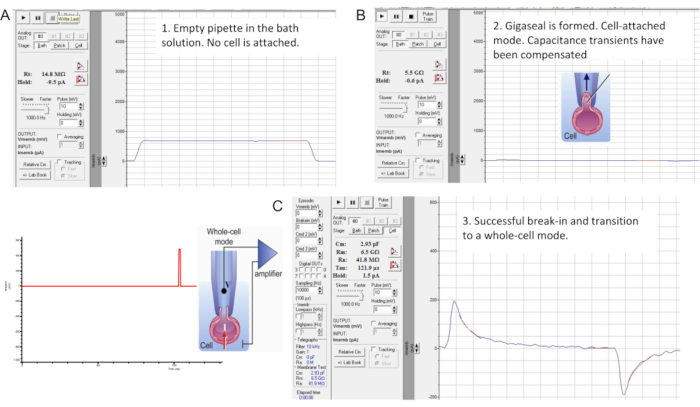 Figure 7